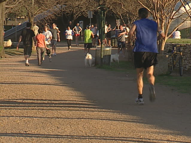 runners on jogging trail