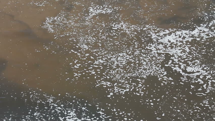 Pond scum forms swirling, abstract pattern on water's surface. 1080p
