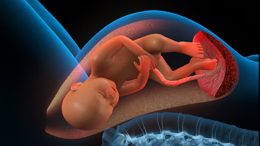 Mother giving birth to baby