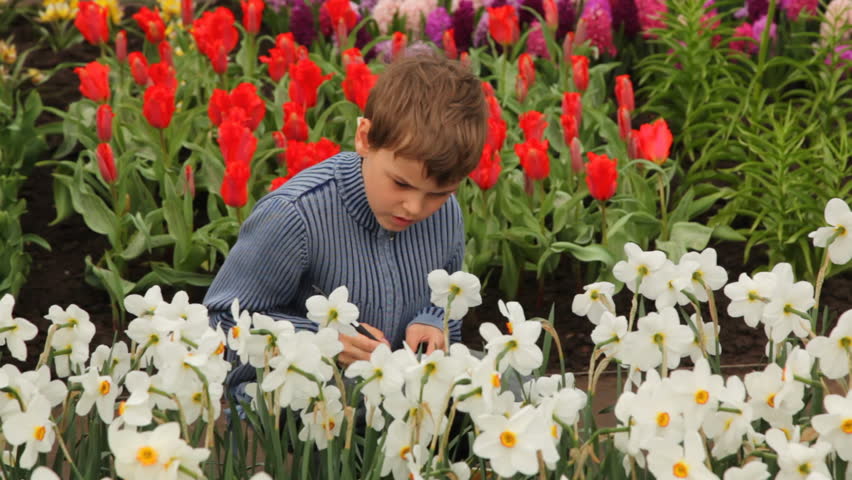 little boy sits on footpath near flowerbeds, he writes information about flowers in notebook 