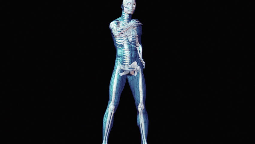 Spinal Injury
