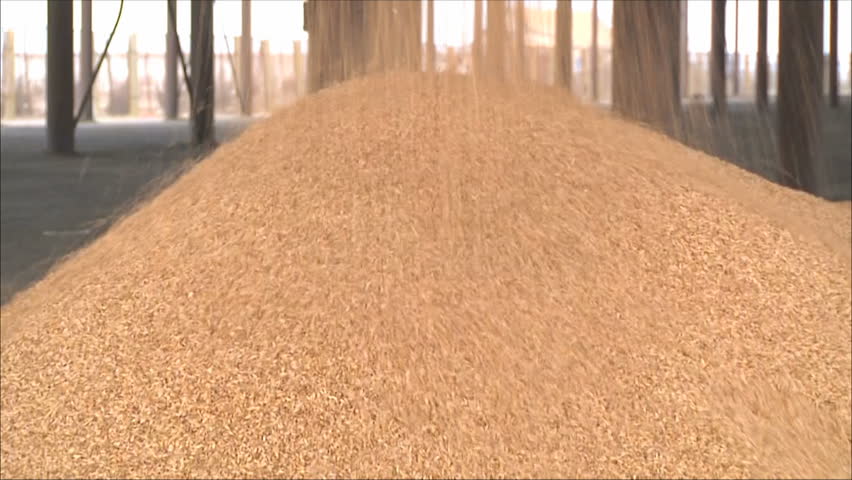 processing and storage of grain