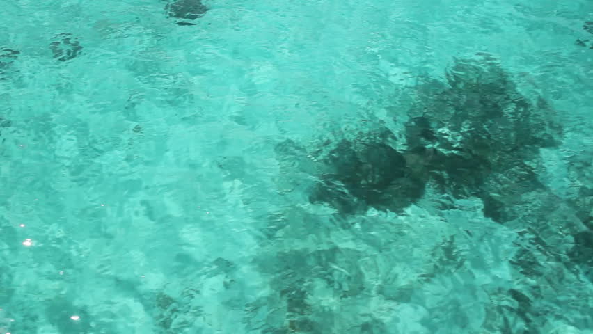 Travel over turquoise water.  View of shallow, turquoise seawater going by with reefs and sandy bottom visible. Shot from dive boat in the Dominican Republic.