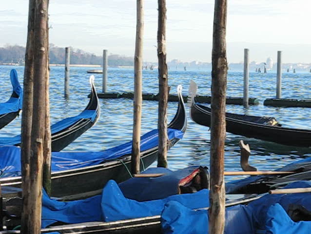 Venice: Parked Gondolas