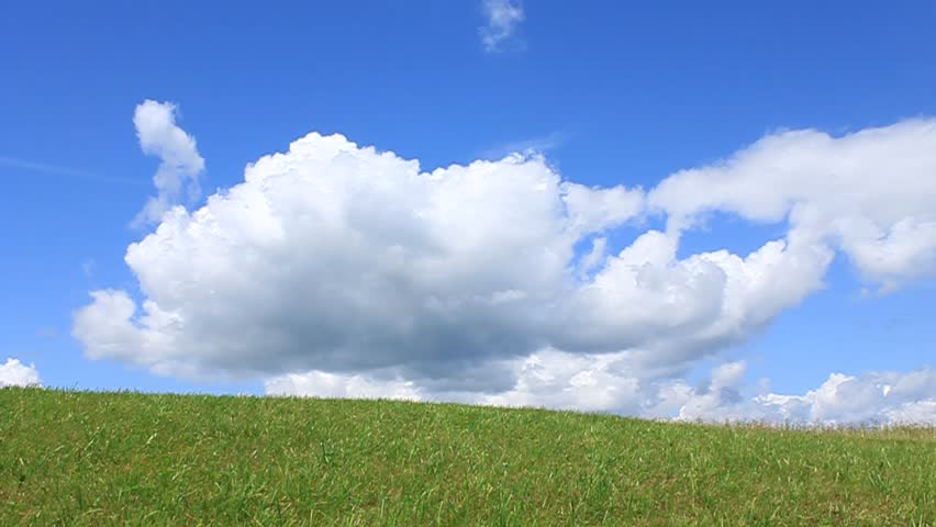 The joy of life