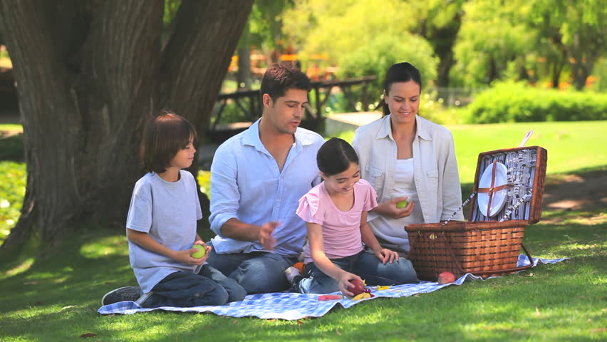 Family sitting on a park grass while preparing the picnic
