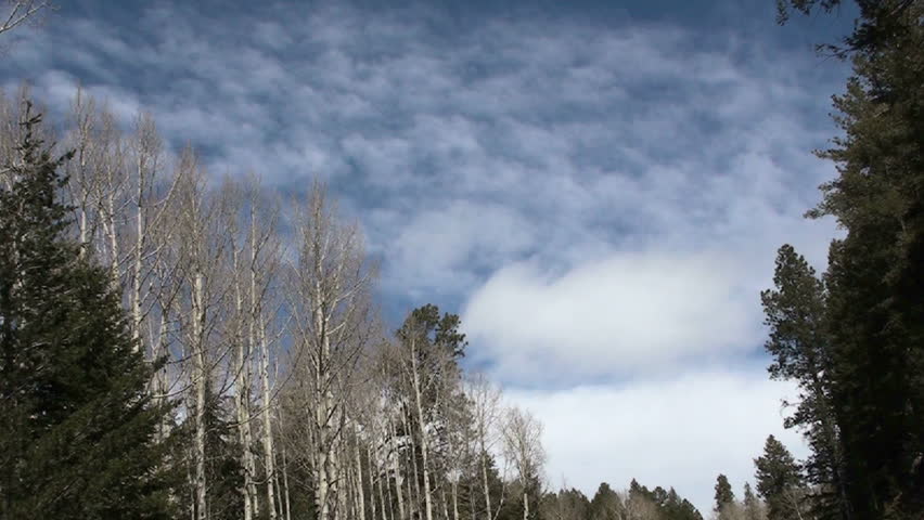 Time Lapse, Clouds roll over bare trees on sunny day in early spring. 1920x1080