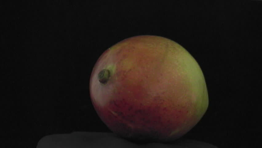 One ripe mango. Exotic fruit revolving slowly with a black background.