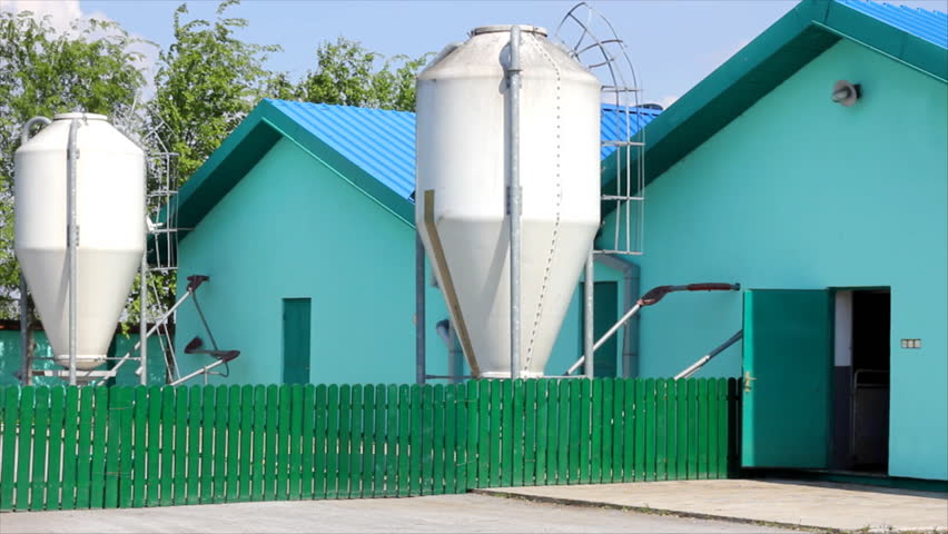 One farmer enters into a new and modern pig farm