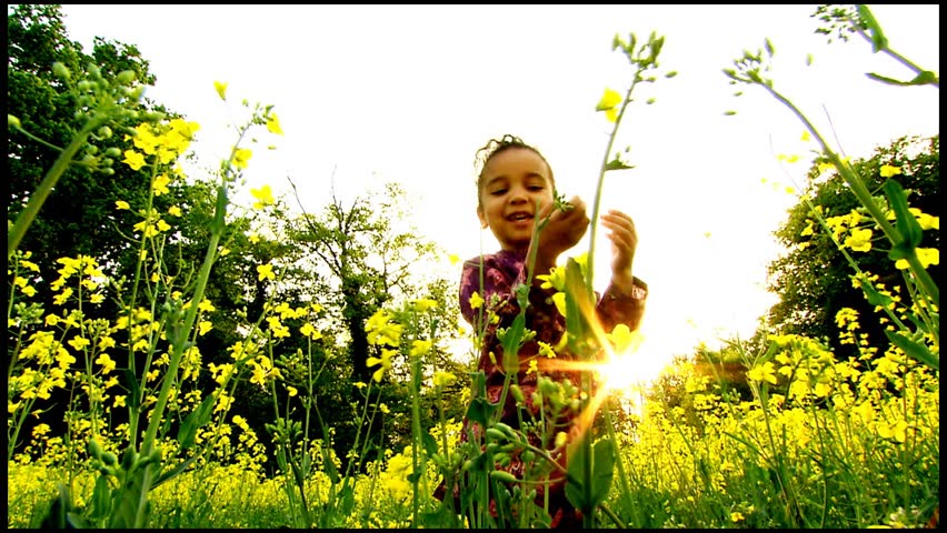 Beautiful little girl in field of flowers