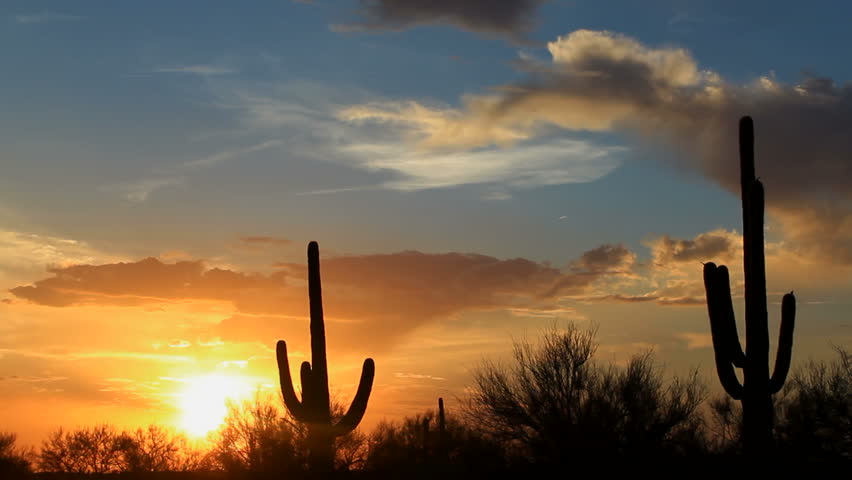 Time Lapse, Fiery sun drops behind silhouetted saguaro cactus in beautiful Arizona landscape. 1080p