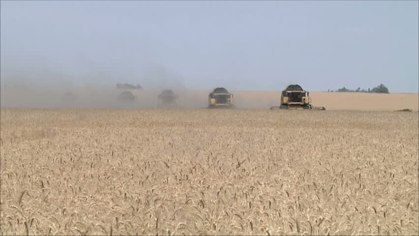 Wheat harvesting shearers 
