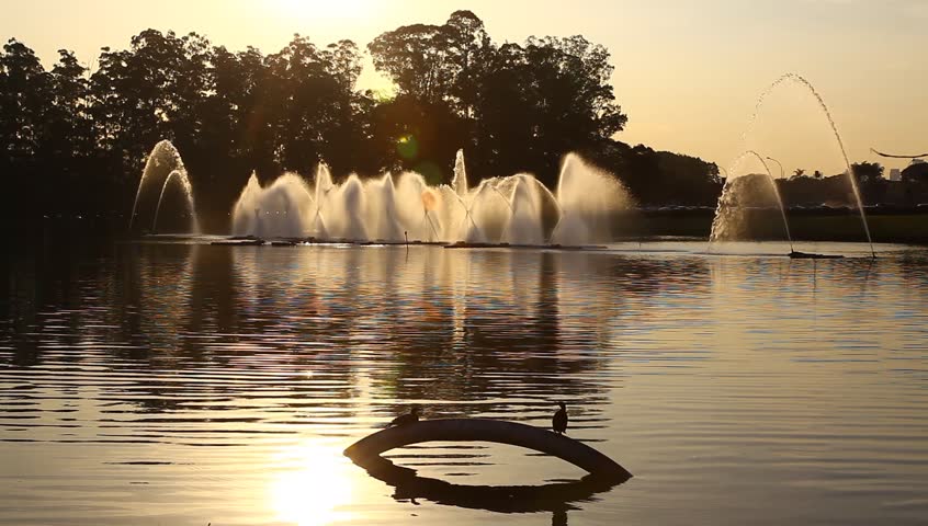 Fountains and birds during sunset in Park Ibirapuera Sao Paulo Brazil  
