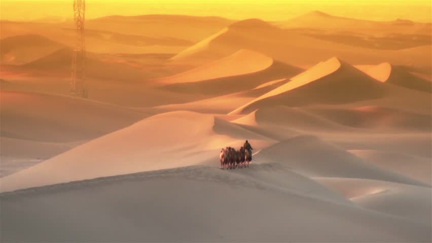Camel crew walking in the desert, wide shot
