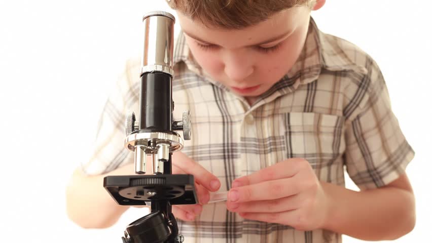 Little boy prepare specimen pouring it on glass slide
