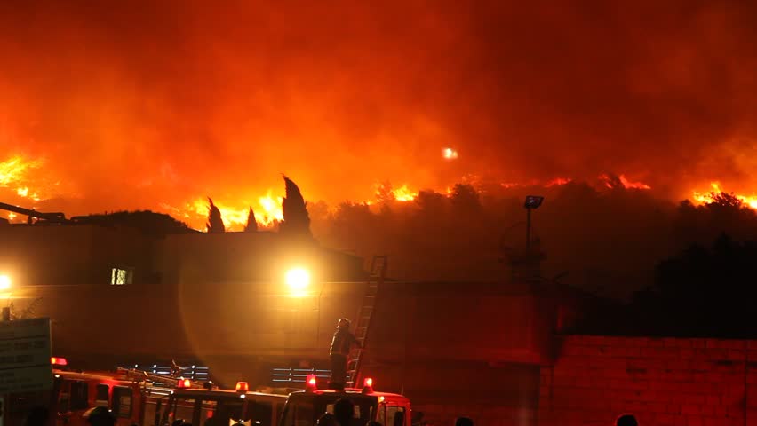 Firefighters and tanker trucks at work during the fire storm on Mount Carmel, Israel December 12, 2010