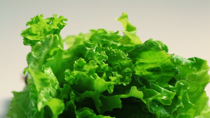 Hands puts fresh leaf of lettuce on a white background