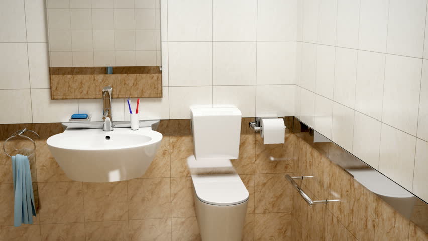 Toilet Transition 
