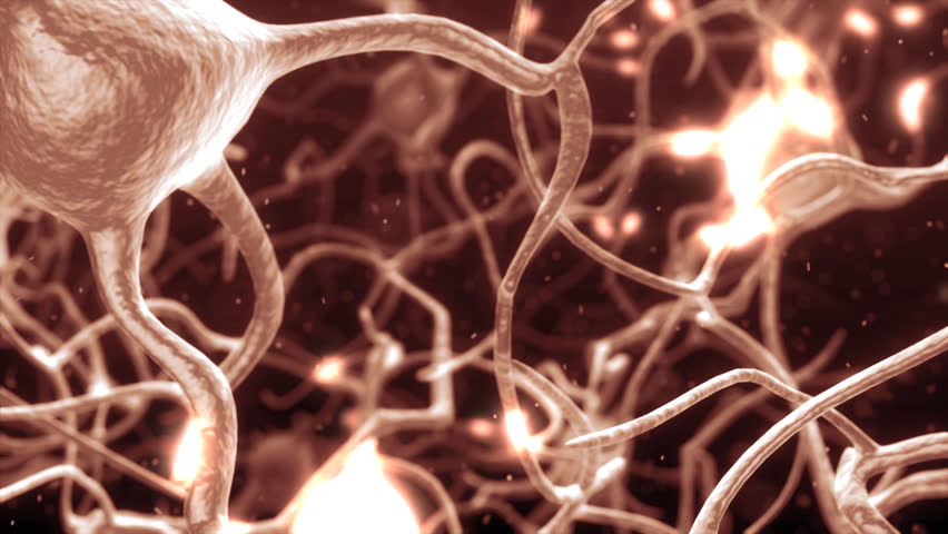 Inside the brain. Concept of neurons and nervous system. 