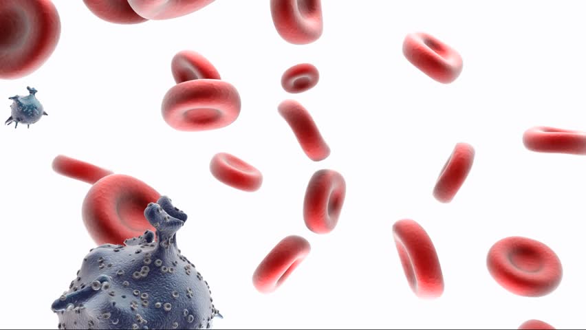 Virus cell infecting the blood