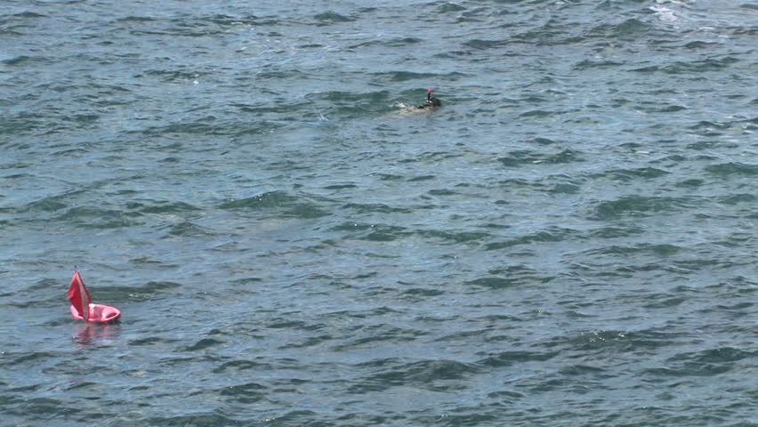 Man swimming and spear fishing in the rough ocean water. Off shore of Maui, Hawaii. Warning flag and diver.