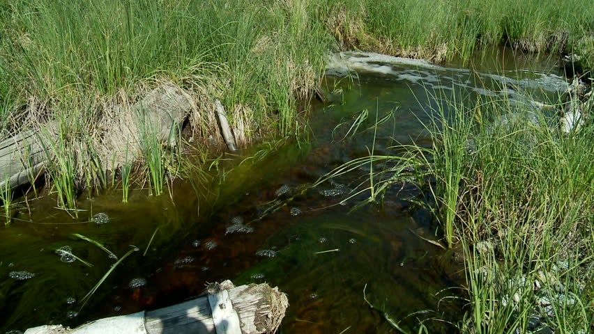 stream