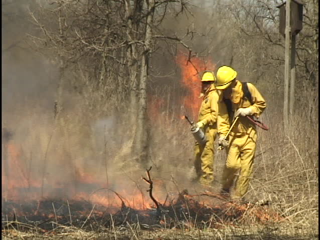 firemen spray forest fire 1