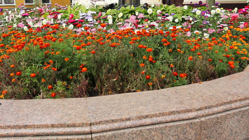 IVANO-FRANKIVSK, UKRAINE - AUGUST 11: Composition EASTER SUN on square Sheptytsky on August 11, 2011 in Ivano-Frankivsk, Ukraine. Easter Sun was constructed for Blacksmiths Festival 2008. 