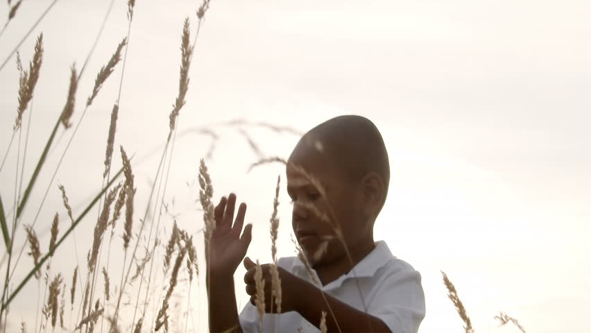 A father and son play in a wheat field on a sunny day.
