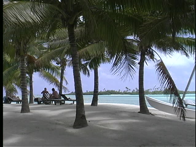 Palm trees providing shade on a white sandy beach on Rarotonga one of the Cook Islands in the South Pacific.