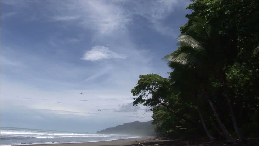 Idyllic Costa Rican Beach With Waves and Scarlet Macaws In Flight