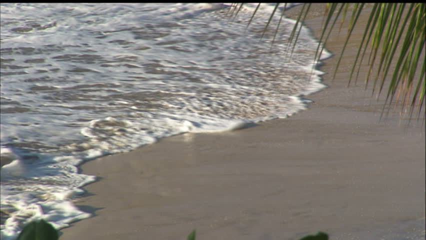 Waves Lapping Against Tropical Beach, Pull To Reveal Cove