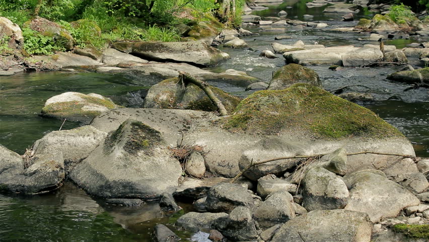 Small mountain river in summer
