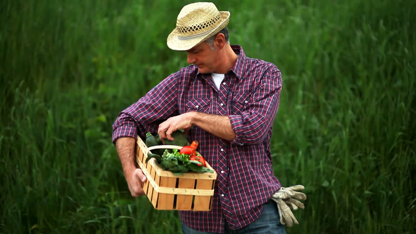 Farmer walking with vegetables basket; Full HD Photo JPEG