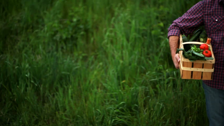 Portrait of a smiling farmer holding vegetables basket; Full HD Photo JPEG