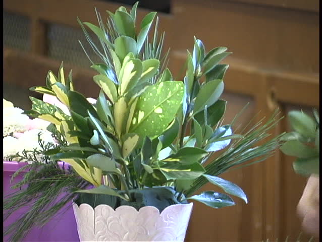Building a Flower Arrangement - 2