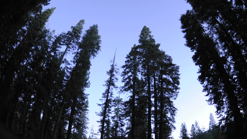Time lapse of star trails, clouds and full moon rising through a forest at Jackson Meadow Reservoir in the Tahoe National Forest, California.