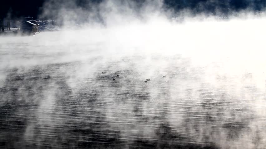 Ascending fog over a lake