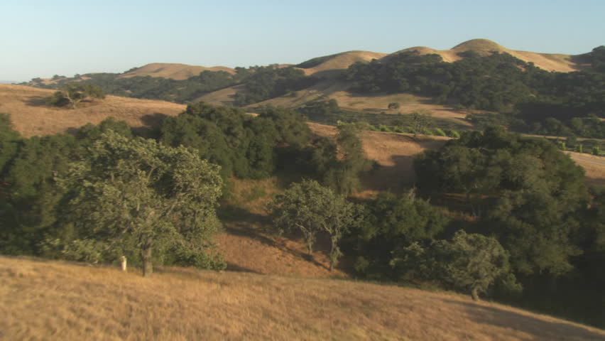 Helicopter low level aerial of Santa Barbara County vineyards, California.