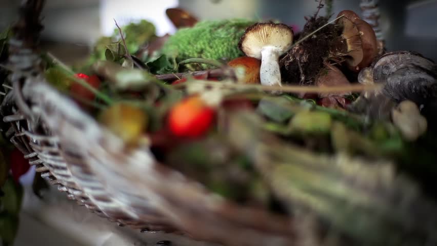 Botany Still Life. Selective Focus With Shallow Depth of Field.