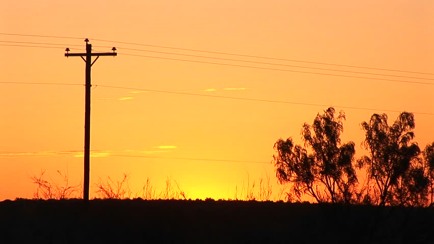 Telephone pole and bush silhouetted sharply against orange sunset