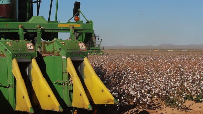 Close-up of powerful mechanical harvester blades, wheels, maneuvering cotton fields. 1080p