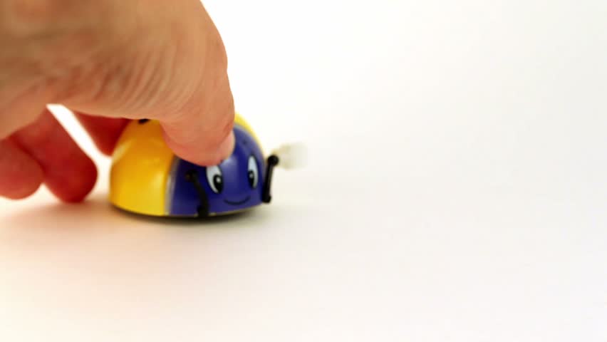 Hand let go small toy ladybird, which begins to move forward, by circle, turns over and lay with wheels moving