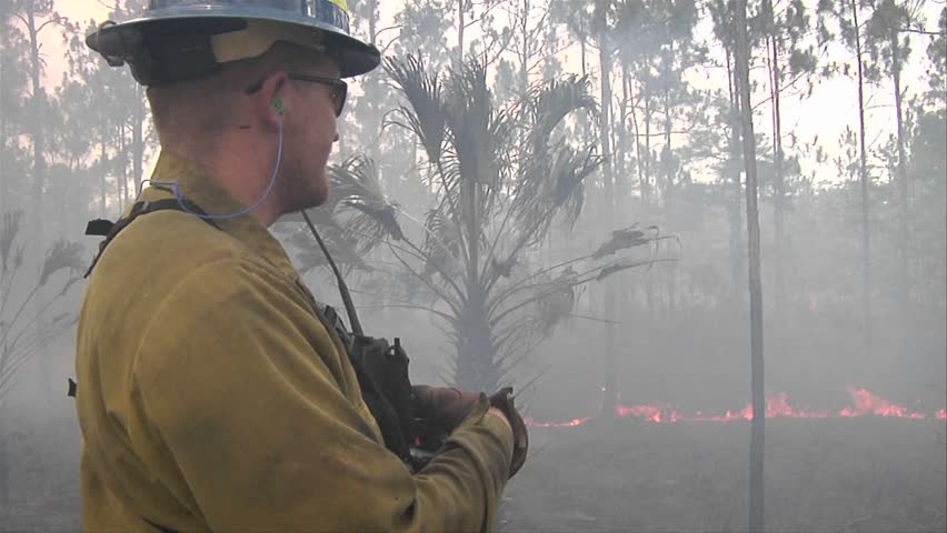 EVERGLADES, FL - CIRCA 2009: Firefighters monitor a prescribed fire circa 2009 in the Everglades.