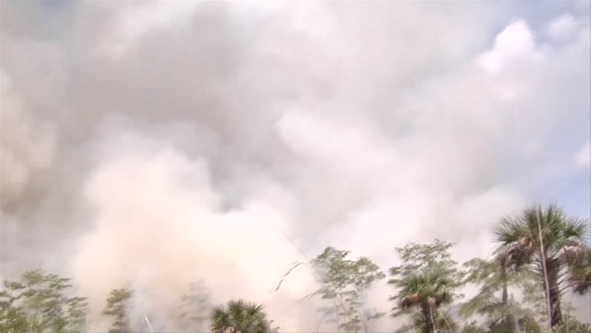 Wildland fire blazes in the Florida Everglades