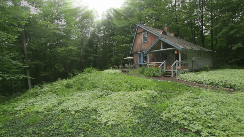 Rustic Cabin