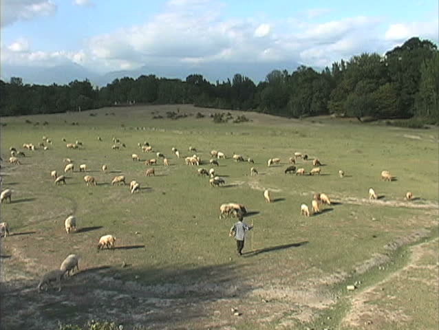 May 2010 - Azerbaijan - Shepherd and sheep