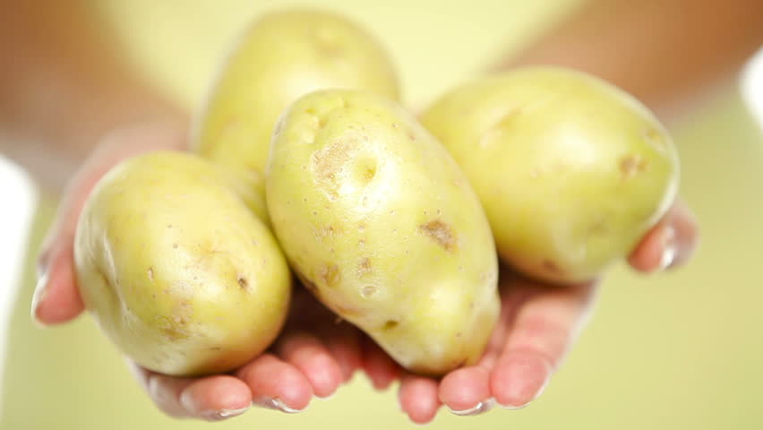 Potatoes. Woman showing potatoes in closeup.
