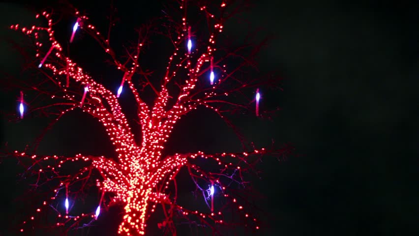 Tree decorated by garland, lamps blinking, view from below at winter night