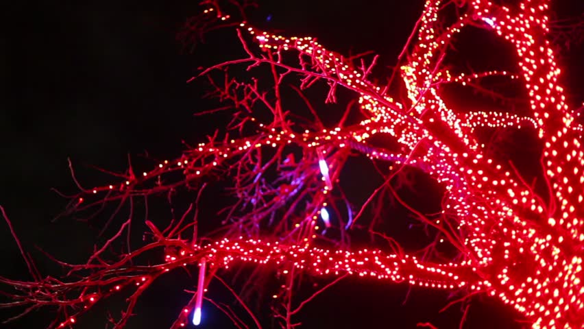 Tree decorated by garland, lamps blinking, view from below in motion at winter night